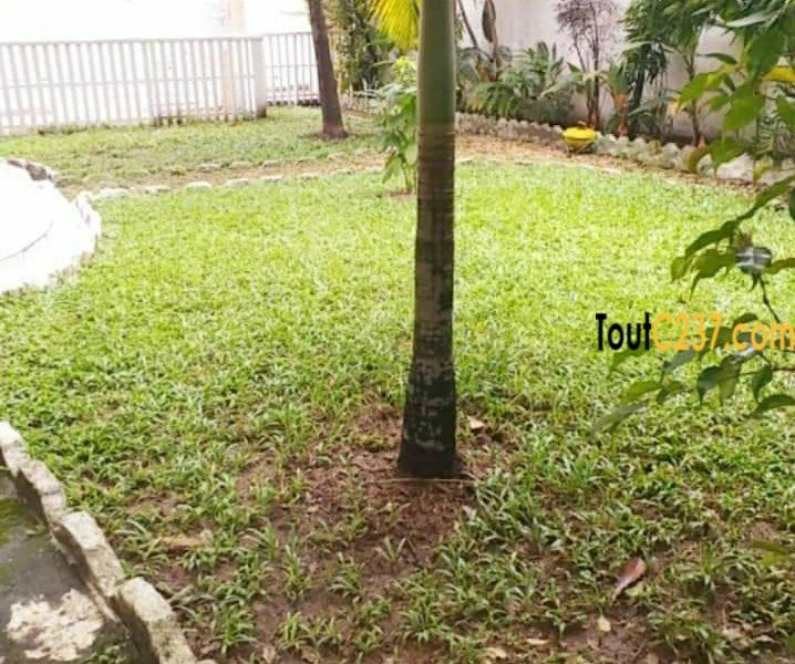 Maison duplex à louer à Bonapriso Douala
