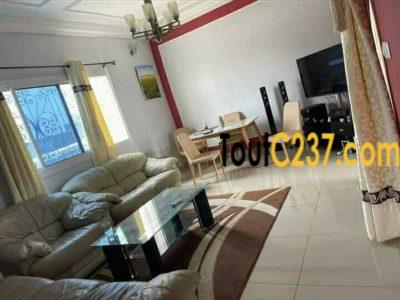 Appartement neuf à louer à Deido Douala