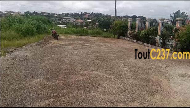Terrain à vendre à yassa cité chirac, Douala