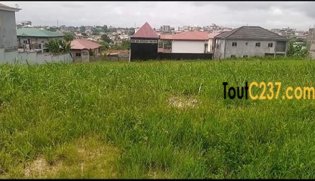Terrain à vendre à yassa cité chirac, Douala
