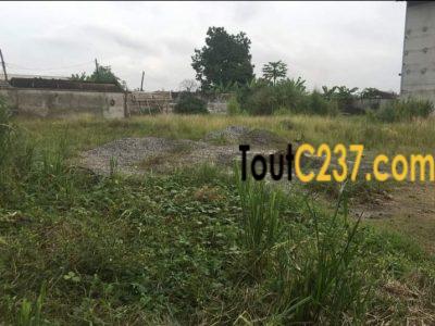 Terrain à vendre à Logpom Douala