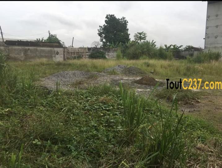 Terrain à vendre à Logpom Douala