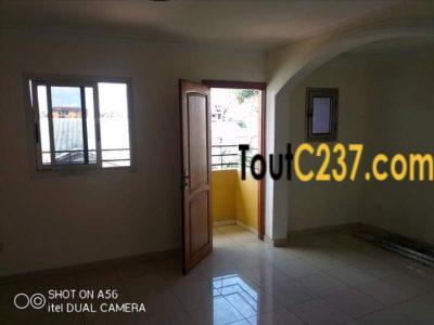 Appartement à louer à Bonapriso Douala
