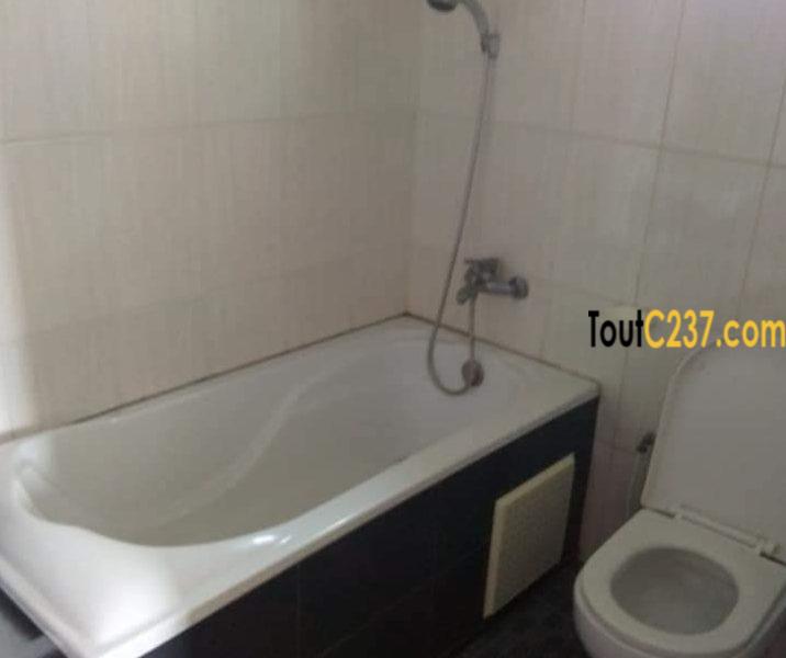 Appartement à louer à Bonapriso Douala