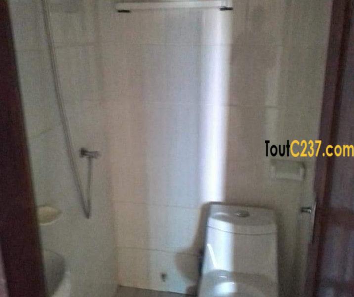 Appartement à louer à Bonapriso Douala