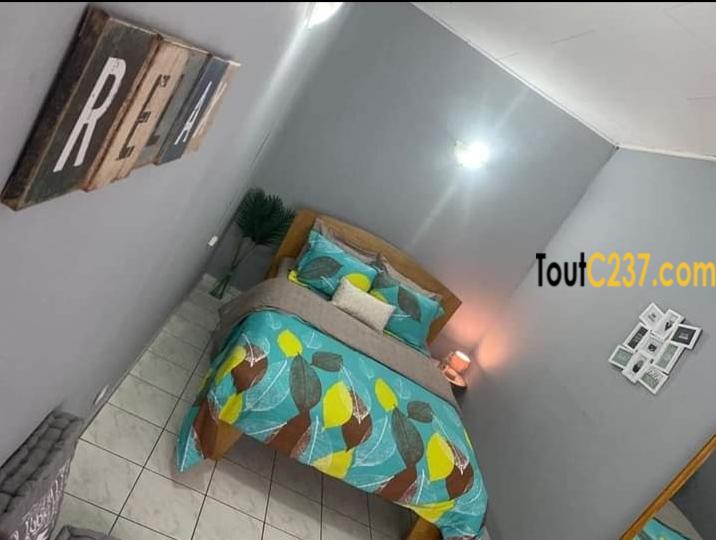 Studio meublé à louer à Bonanjo, Douala