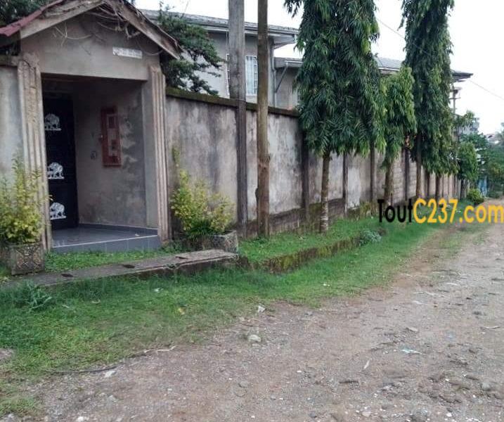 Maison à vendre à Logpom Douala