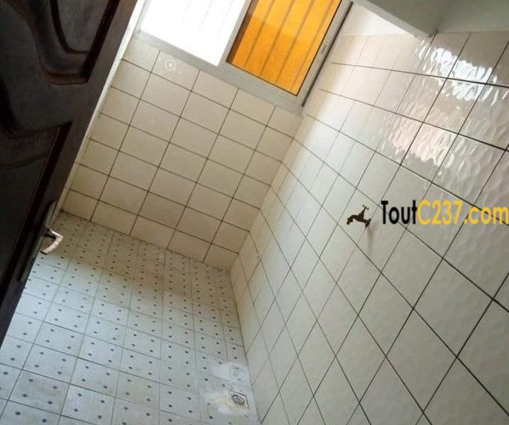 Appartement à louer à Bonamoussadi Sable Douala