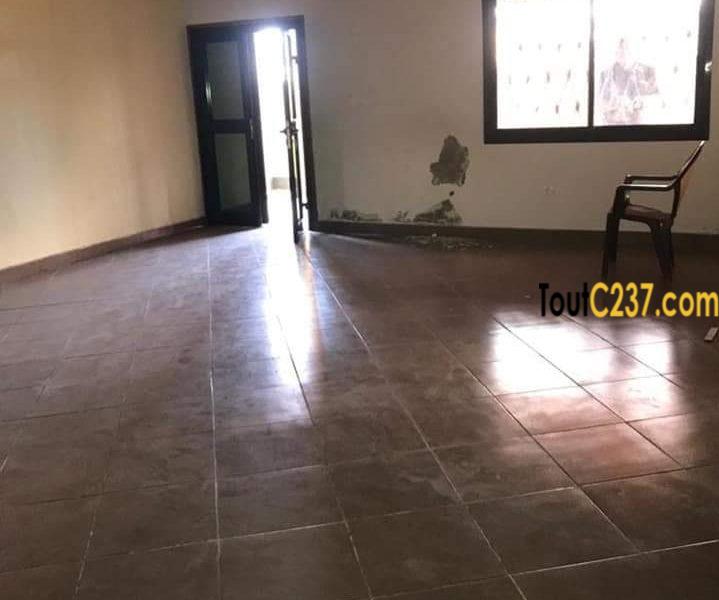 Maison à louer à Bonapriso (Youpwe) Douala