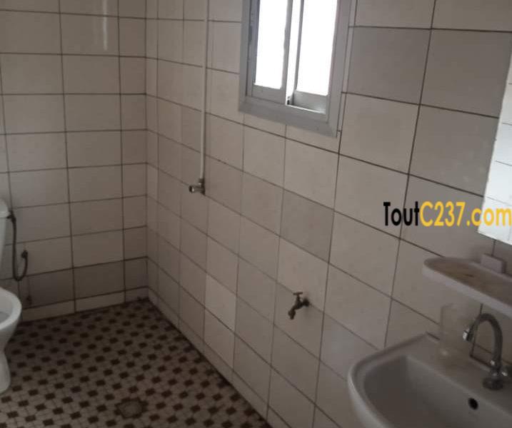 Appartement entrée seule à louer à Kotto Douala