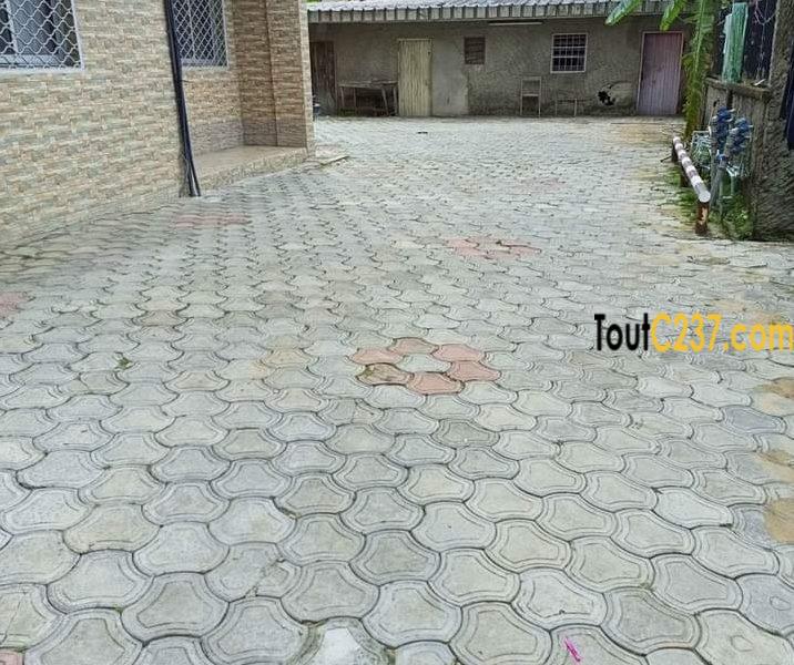 Vaste appartement à louer à Makepe Douala