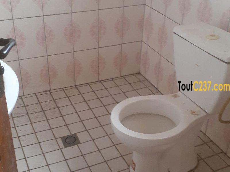 Appartement à louer à Bonamoussadi Douala
