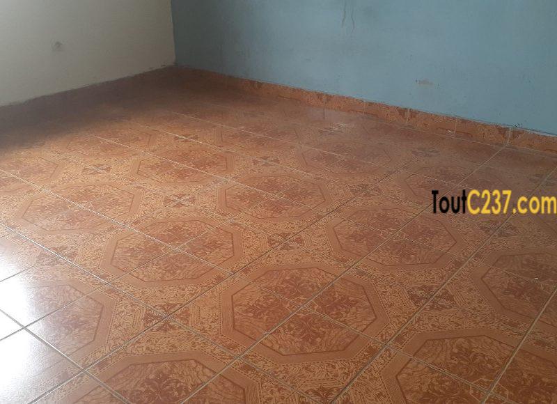Appartement à louer à Bonamoussadi Douala