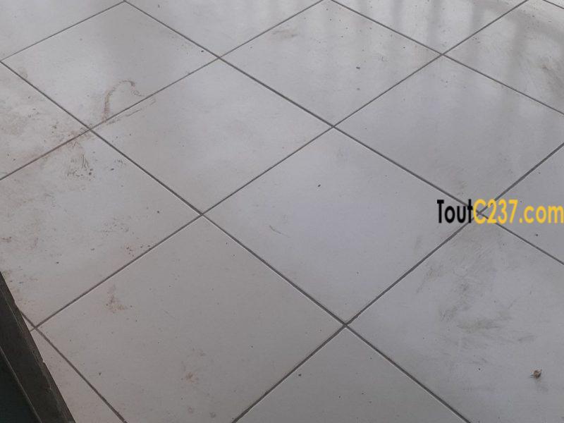 Appartement à louer à Bonamoussadi Douala