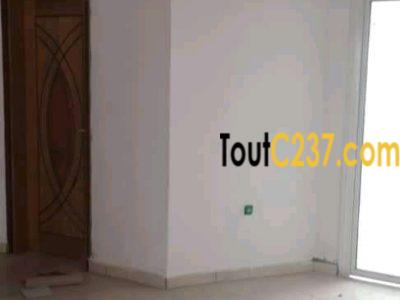 Appartement neuf à louer à Bonapriso Douala
