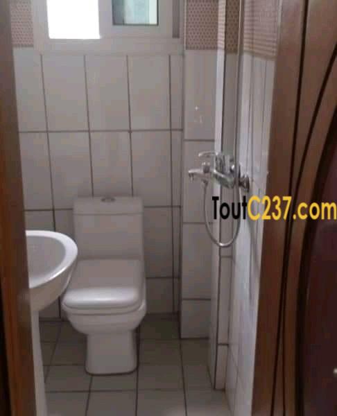 Appartement neuf à louer à Bonapriso Douala