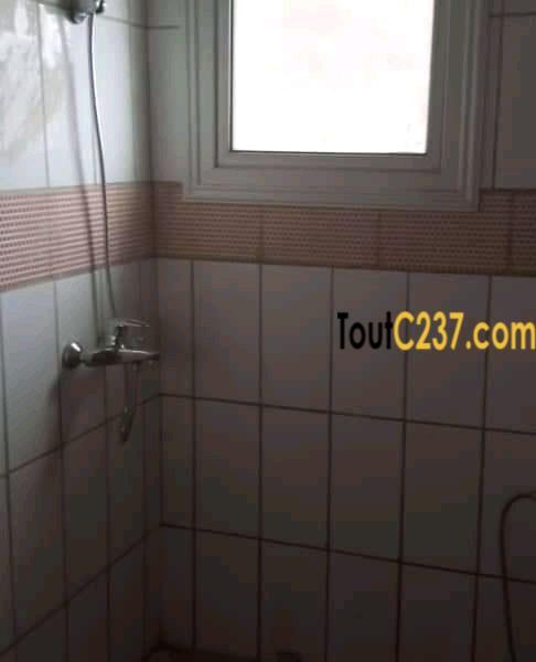 Appartement neuf à louer à Bonapriso Douala