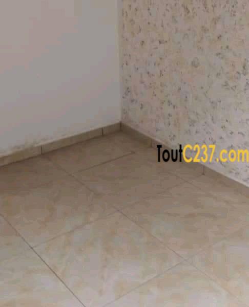 Appartement neuf à louer à Bonapriso Douala