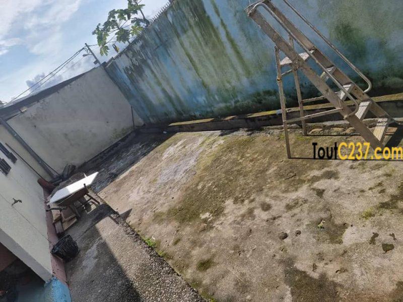 Villa sic à louer à Kotto Douala