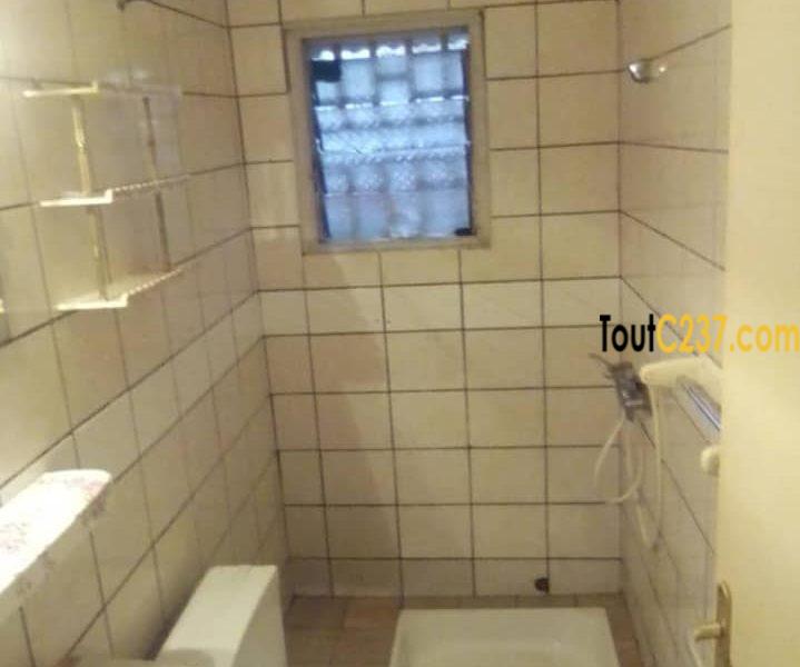 Studio Moderne à louer à Akwa Douala