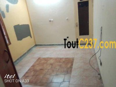 Studio Moderne à louer à Akwa Douala