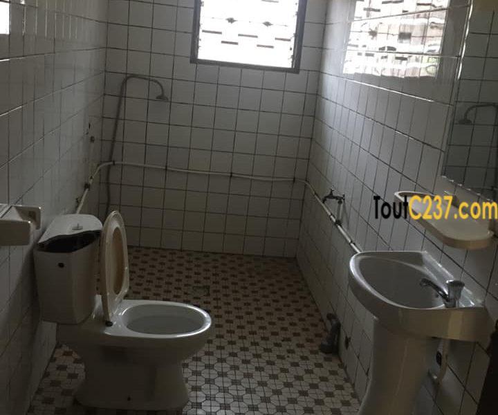 Appartement à louer à Bonamoussadi Douala
