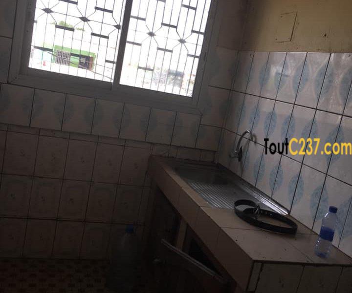 Appartement à louer à Bonamoussadi Douala