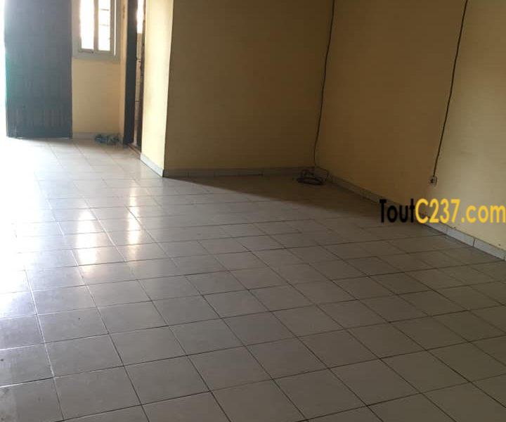 Appartement à louer à Bonamoussadi Douala