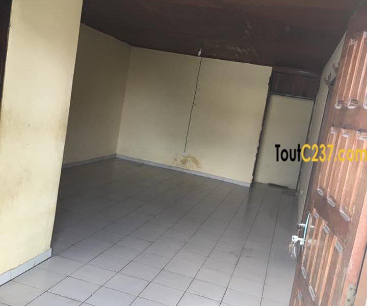 Appartement à louer à Bonamoussadi Douala