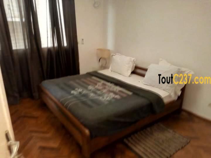 Appartement à louer à Bonapriso Douala