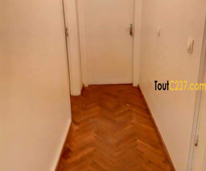 Appartement à louer à Bonapriso Douala