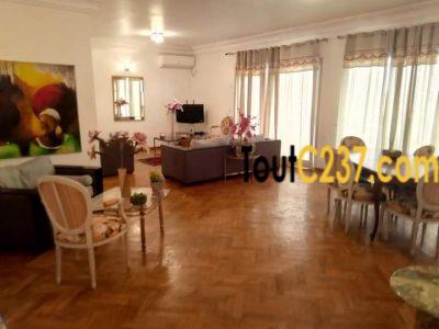 Appartement à louer à Bonapriso Douala