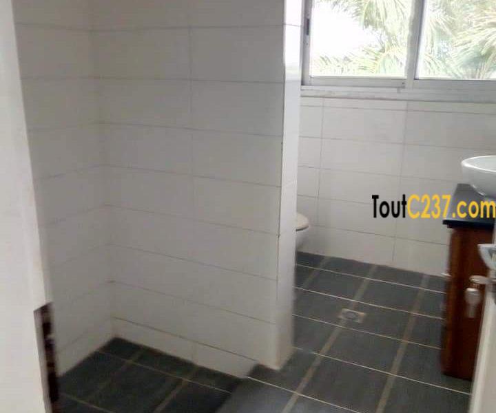 Appartement à louer à Bonapriso Douala