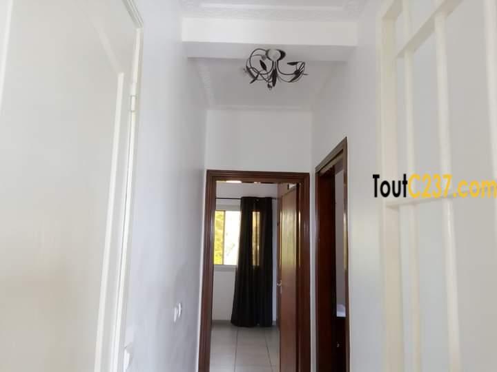 Appartement à louer à Bonapriso Douala