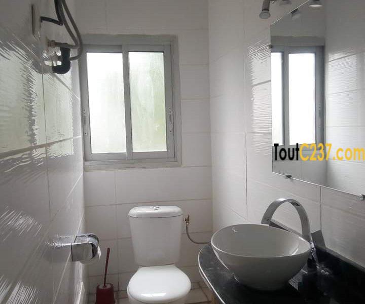 Appartement à louer à Bonapriso Douala