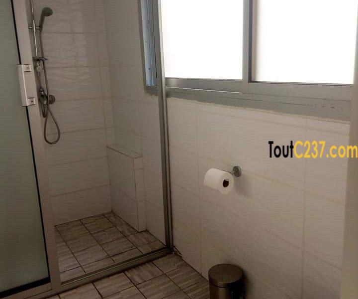 Appartement à louer à Bonapriso Douala