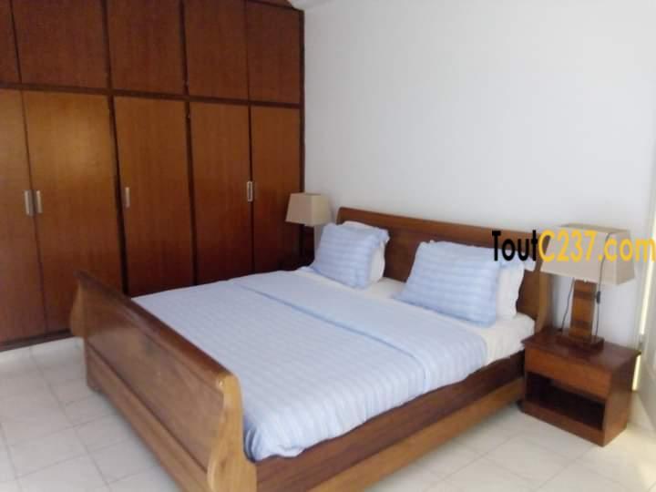 Appartement à louer à Bonapriso Douala