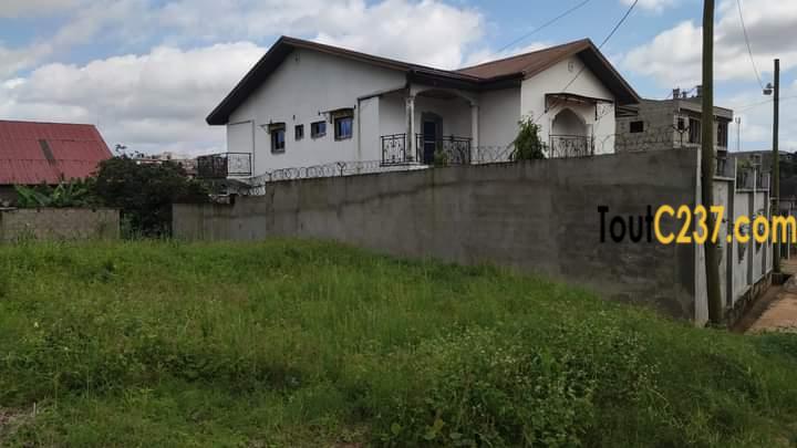 Terrain à vendre à Logpom Douala
