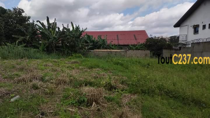 Terrain à vendre à Logpom Douala