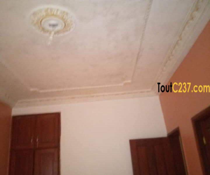 Appartement à loué à Logpom Douala