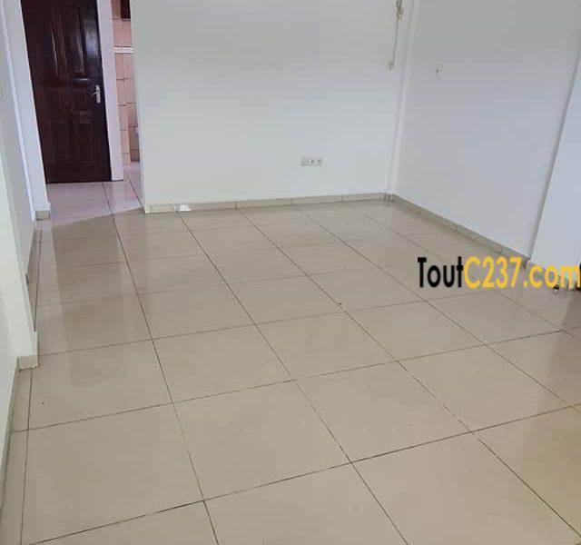 Appartement à louer à Bonamoussadi Douala