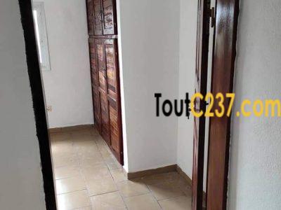 Studio moderne à louer à Bonamoussadi Douala
