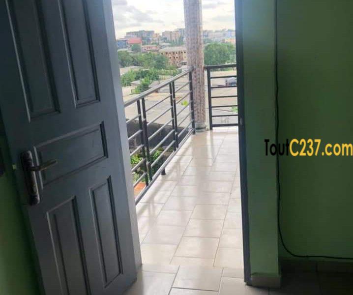 Studio moderne à louer à Bonamoussadi Douala