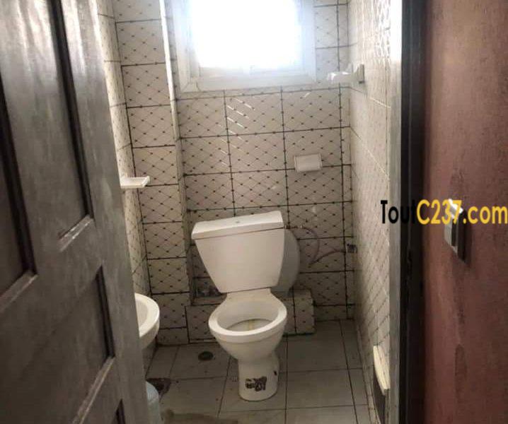 Studio moderne à louer à Bonamoussadi Douala