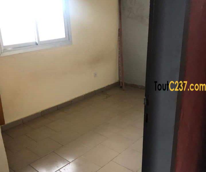 Studio moderne à louer à Bonamoussadi Douala