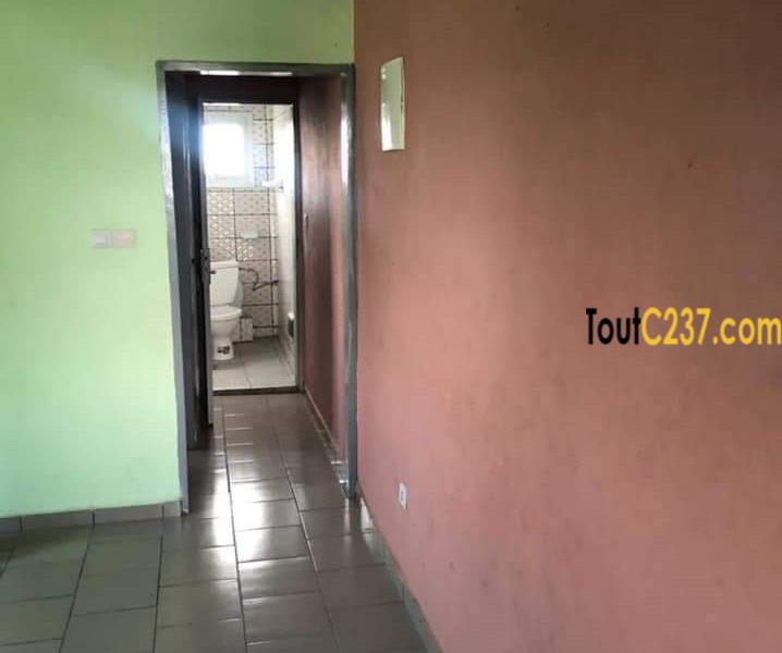 Studio moderne à louer à Bonamoussadi Douala