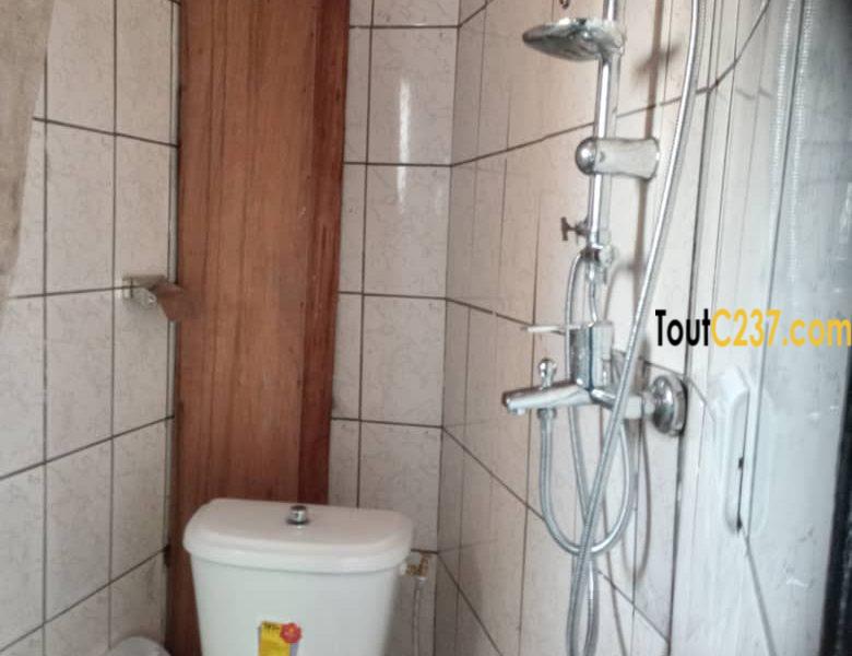Appartement, bureau à louer à Bonapriso Douala