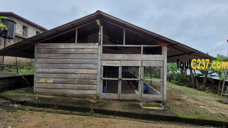 Fonds de commerce d'une ferme à vendre à Douala