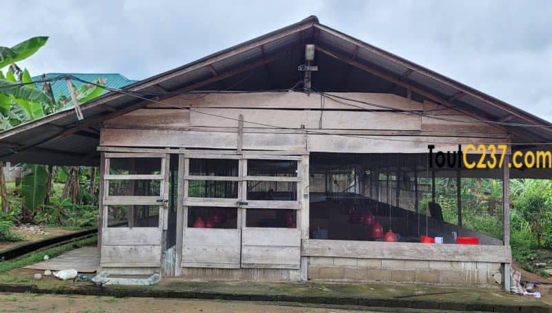 Fonds de commerce d'une ferme à vendre à Douala