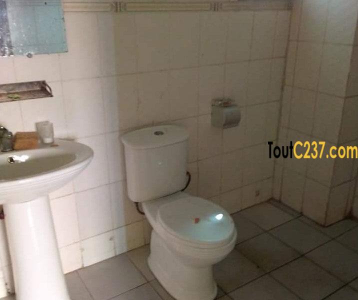 Appartement à louer à Bonapriso Douala